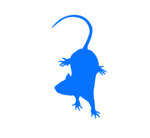 blue mouse for mouse blue creative
